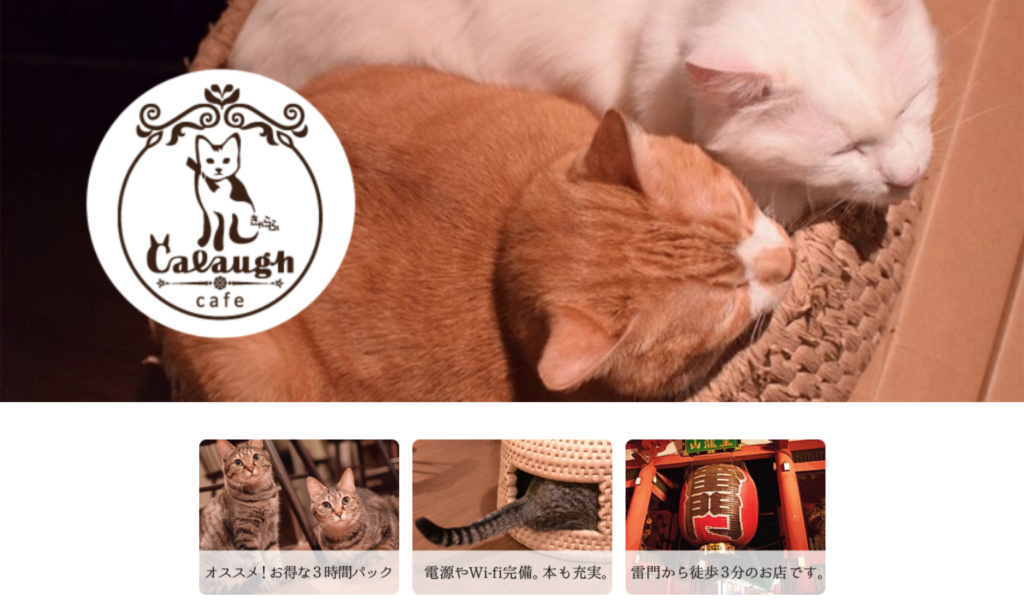 22年版 浅草の猫カフェを全店舗紹介します 体験レポートあり 猫カフェナビ