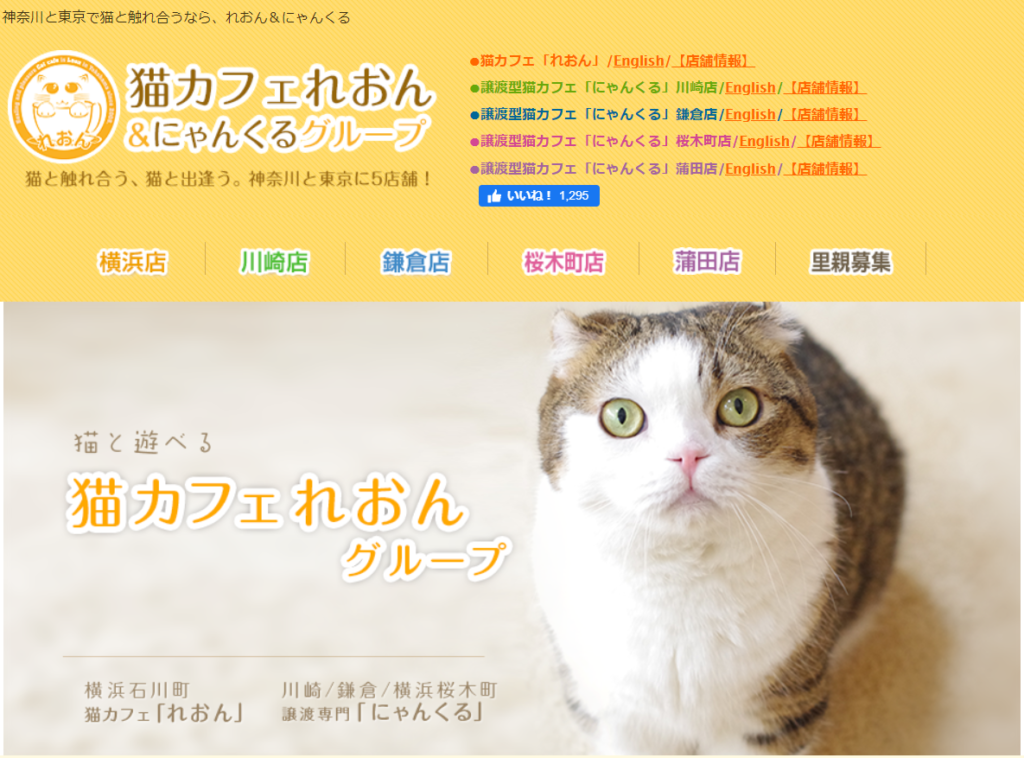 21年版 蒲田でおすすめの猫カフェ2選 猫カフェナビ