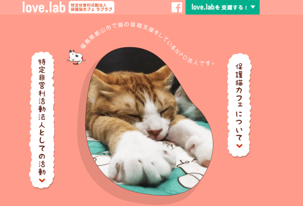 保護猫カフェ love.lab(ラブラブ)