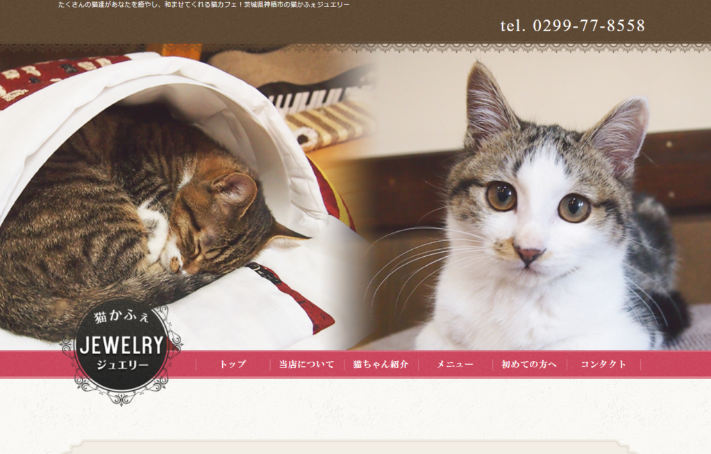 22年版 茨城県でおすすめの猫カフェ6選 かわいい猫がたくさん 猫カフェナビ