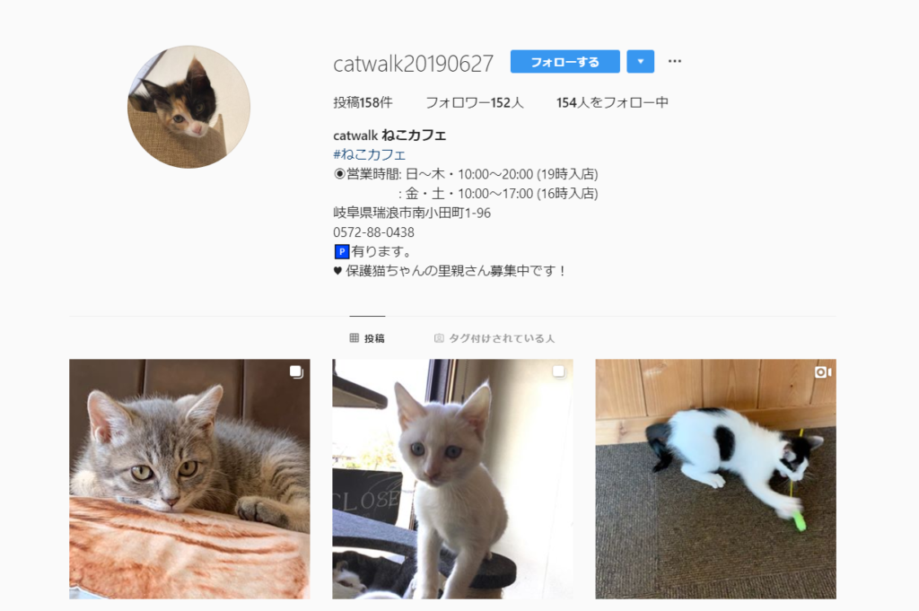 22年版 岐阜県でおすすめの猫カフェ11選 猫に会えるカフェ 猫カフェナビ
