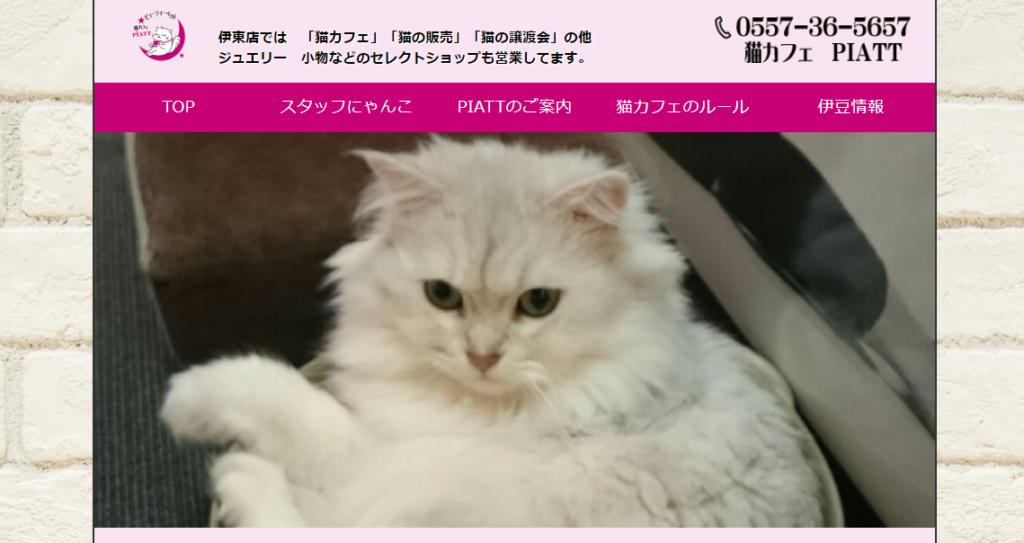 21年版 静岡県でおすすめの猫カフェ14選 ページ 3 猫カフェナビ