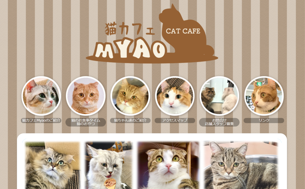 21年版 千葉県でおすすめの猫カフェ17選 かわいい猫がたくさん 猫カフェナビ