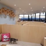 【2022年版】猫カフェMoff 南町田グランベリーパーク店の体験レポート！