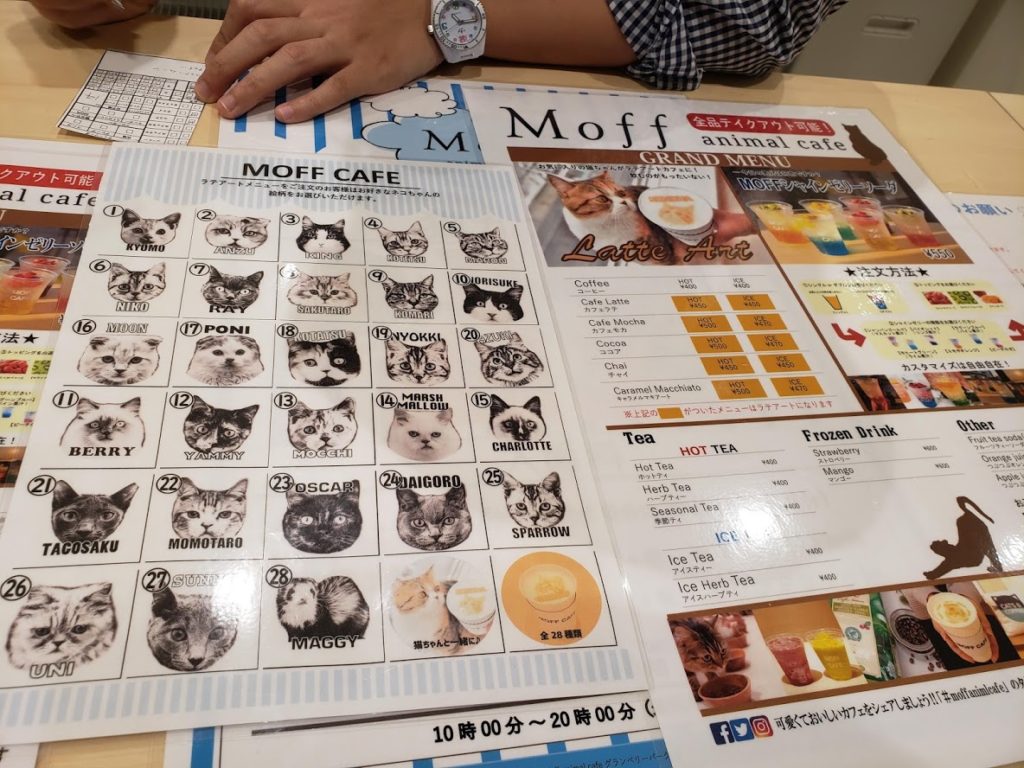 Moff animal cafe 南町田グランベリーパーク店ドリンクメニュー