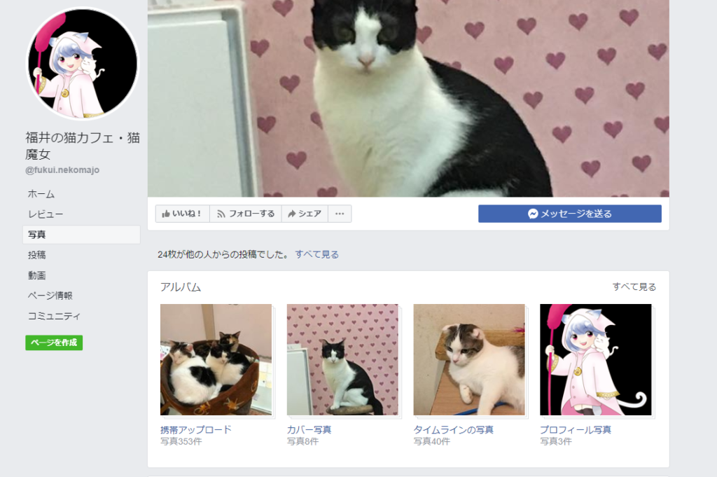 猫魔女ホームページ