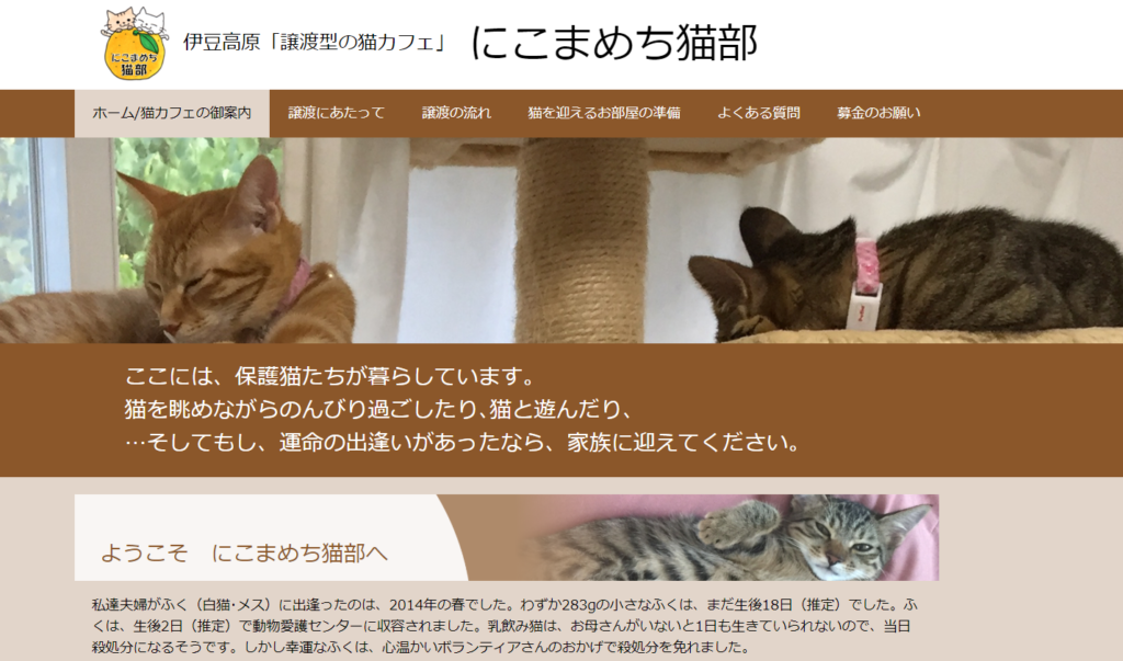 猫カフェMILKホームページ