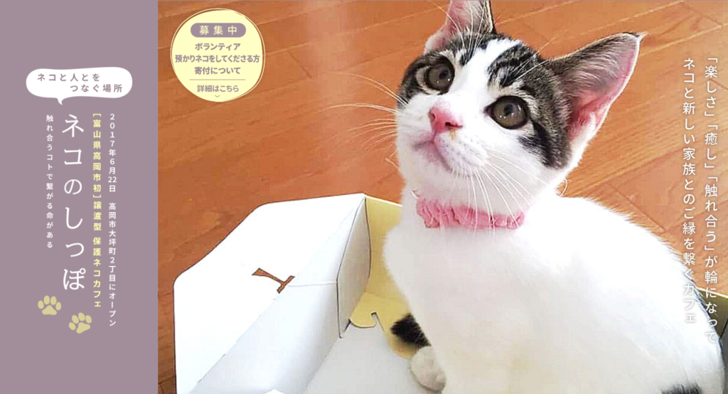 保護猫カフェネコのしっぽホームページ