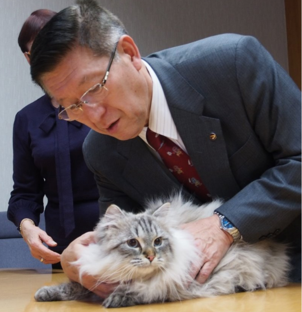 猫と秋田県知事