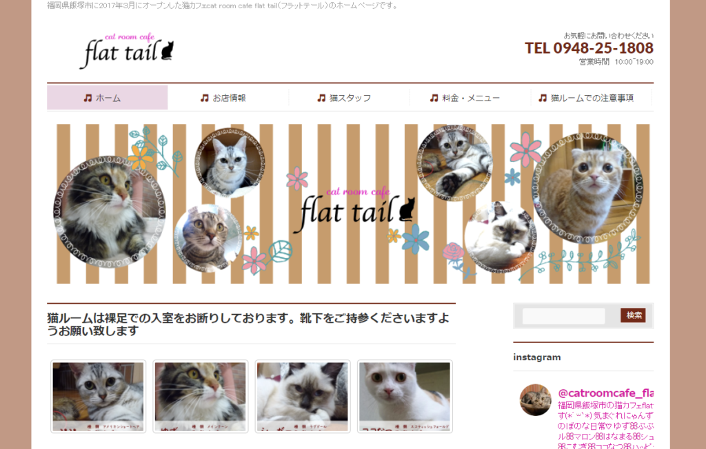 22年版 福岡でおすすめの猫カフェ22選 新店情報あり 猫カフェナビ