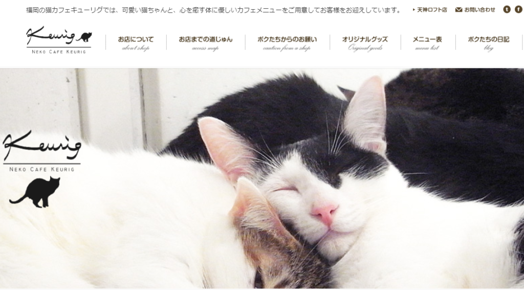 21年版 福岡県でおすすめの猫カフェ21選 新店情報あり 猫カフェナビ