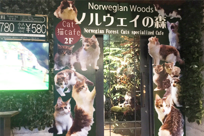 22年版 大分県でおすすめの猫カフェ6選 猫カフェナビ