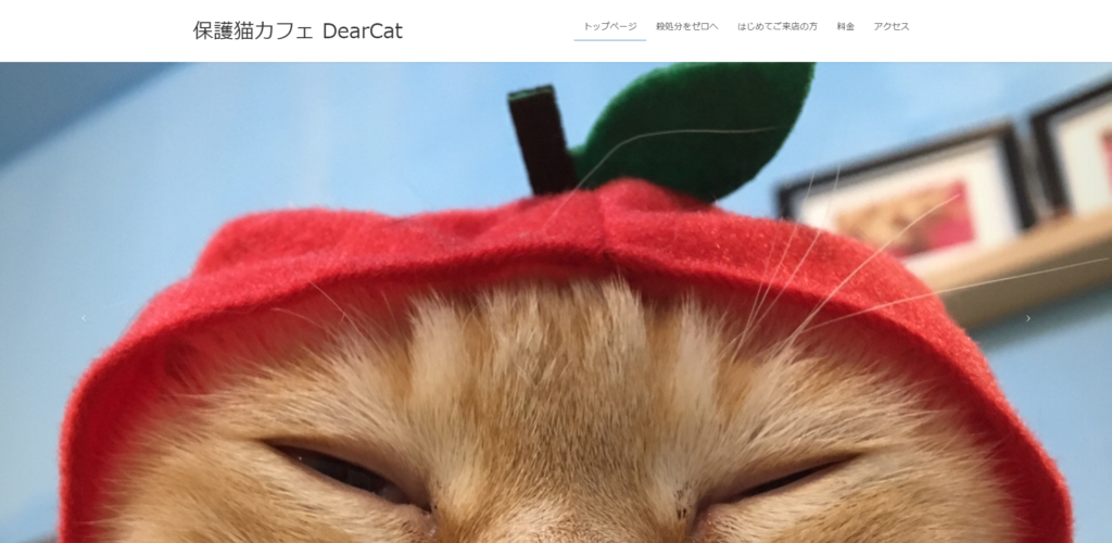 保護猫カフェDearCatのホームページ