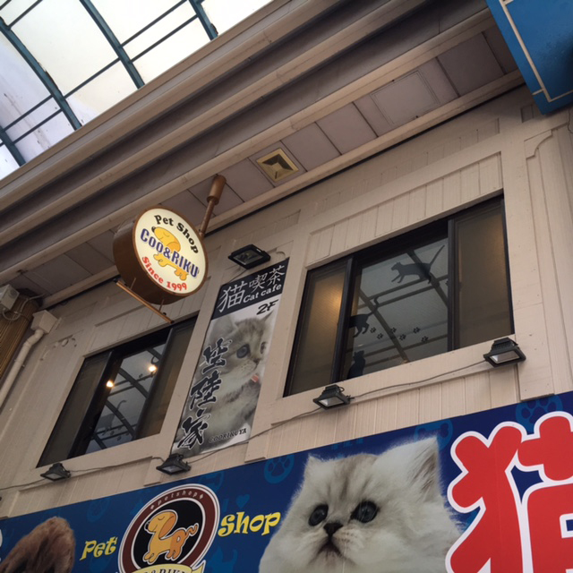 猫カフェ 猫喫茶 空陸家 長崎浜町店の外観