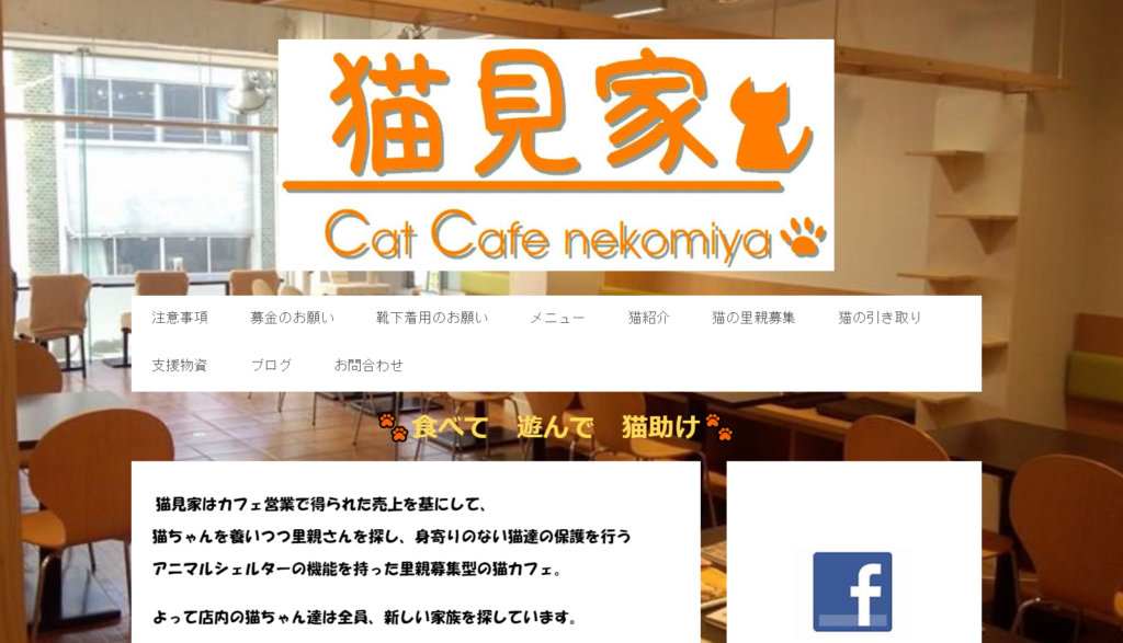 21年版 栃木県でおすすめの猫カフェ5選 猫に会えるカフェ1選 猫カフェナビ