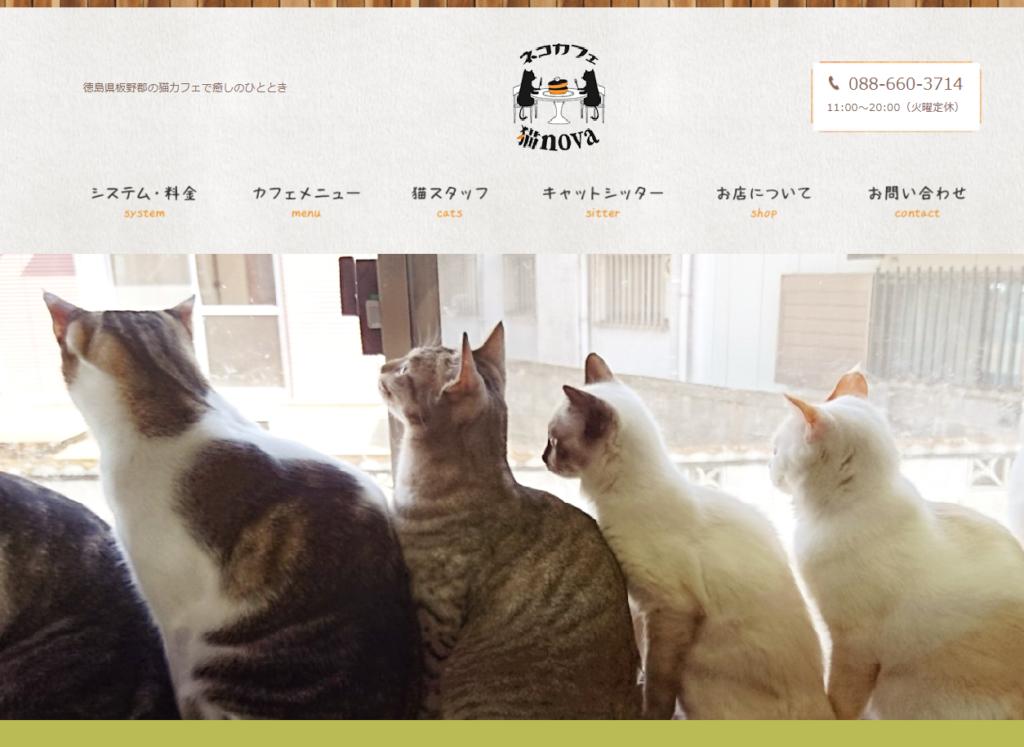ネコカフェ猫novaホームページ