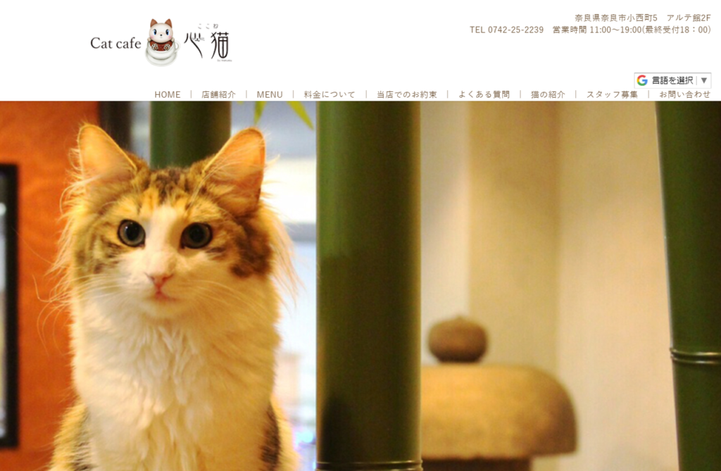 Cat Cafe 心猫のホームページ