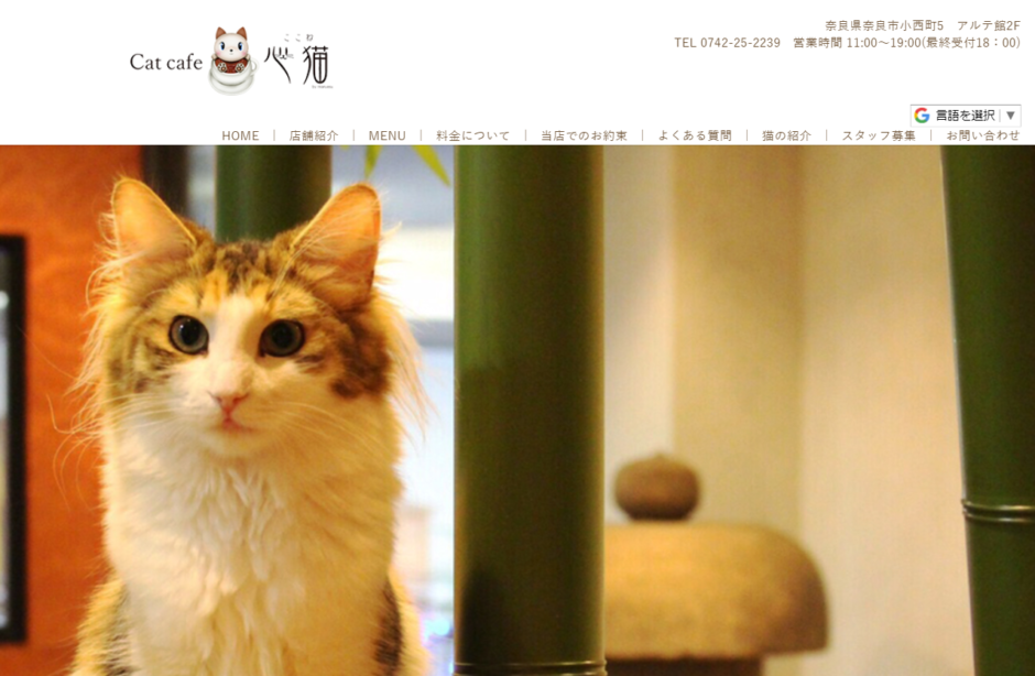 【2024年版】奈良県でおすすめの猫カフェ7選 | 猫カフェナビ