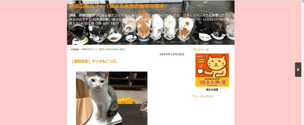 猫まる茶屋 国際通り店のホームページ