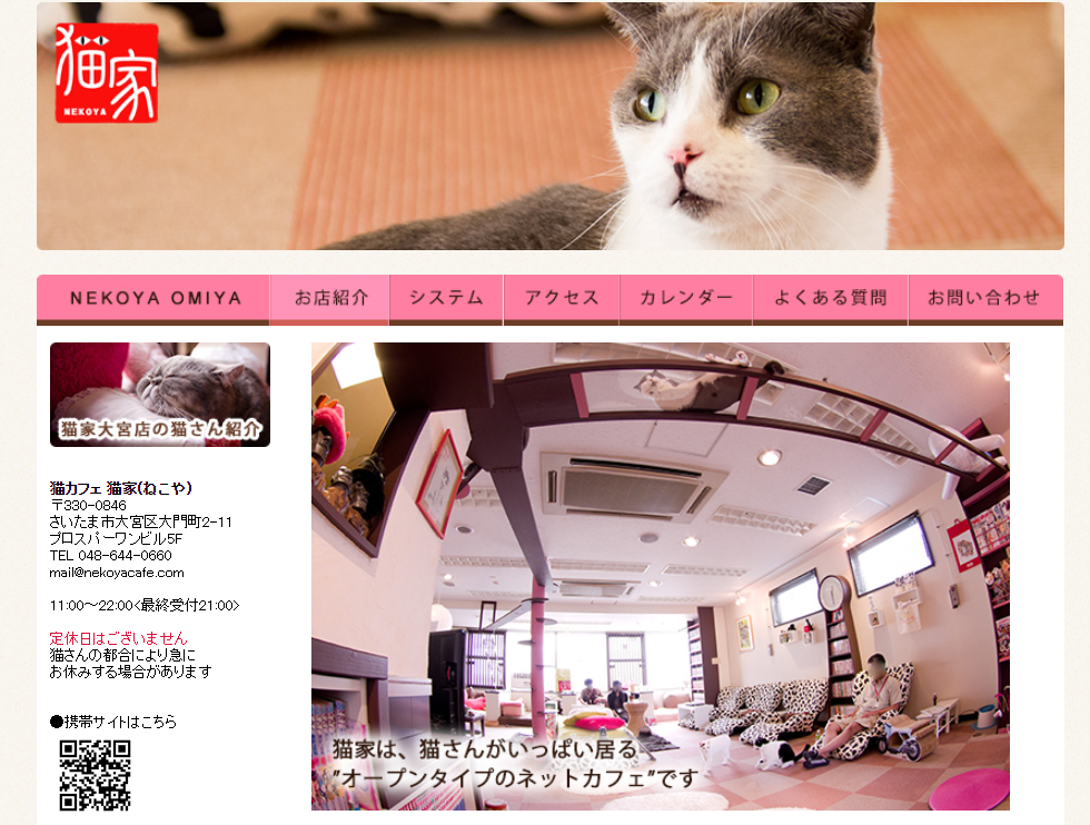 21年版 大宮でおすすめの猫カフェ3選 猫画像たくさん 猫カフェナビ