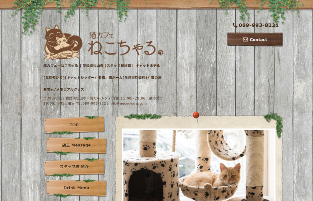 21年版 愛媛県でおすすめの猫カフェ4選 猫カフェナビ