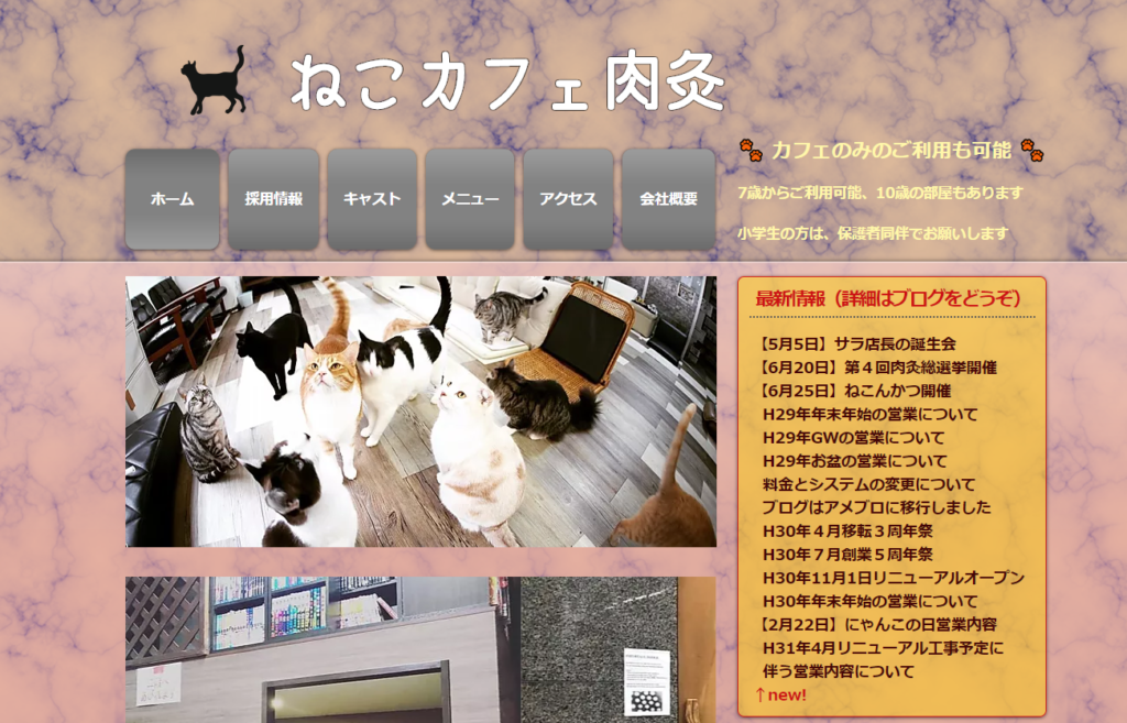 22年版 香川県でおすすめの猫カフェ4選 猫カフェナビ
