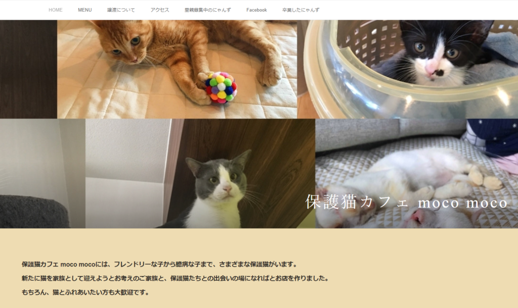 21年版 高知県でおすすめの猫カフェ2選 猫カフェナビ