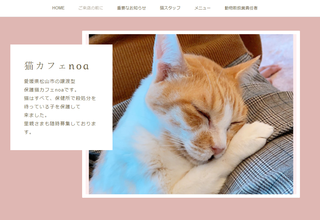 猫カフェnoaホームページ