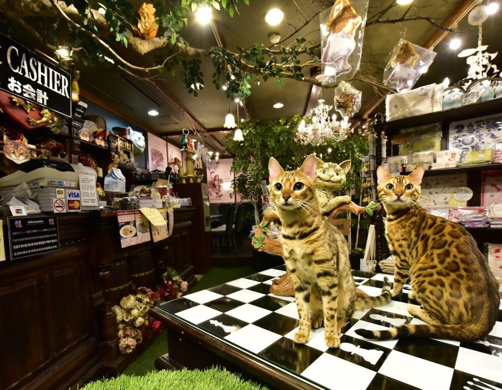 Gallery Alice’s Tearoom チェシャ猫の森の店内
