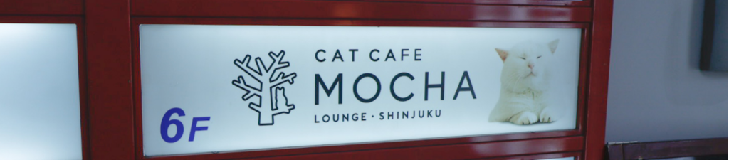 2021年版】猫カフェモカラウンジ新宿店の体験レポート!【日本最大級