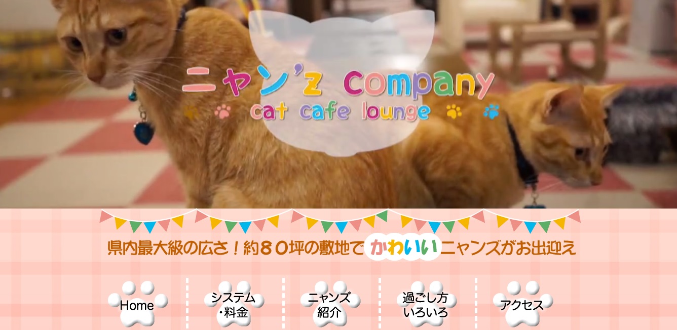 21年版 宮城でおすすめの猫カフェ3選 猫に会えるカフェ2選 猫カフェナビ