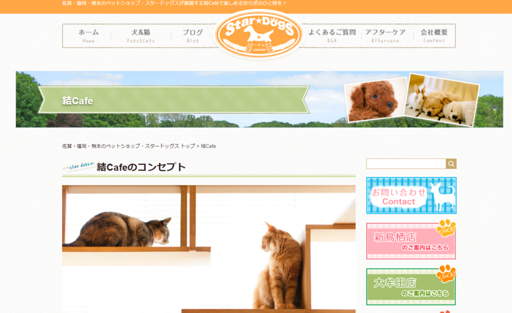 21年版 佐賀県でおすすめの猫カフェ2選 猫カフェナビ