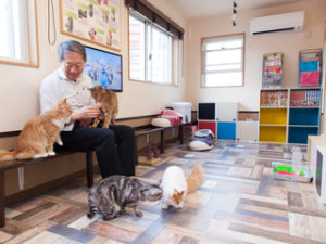 21年版 佐賀県でおすすめの猫カフェ2選 猫カフェナビ