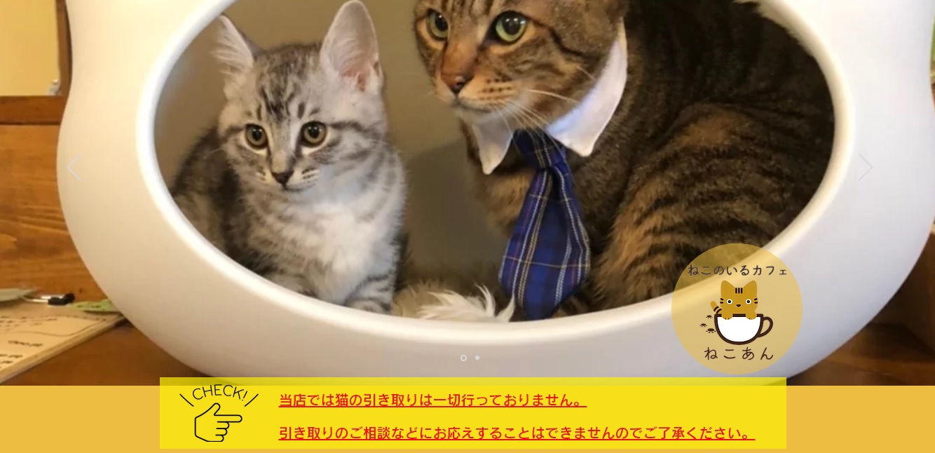 21年版 宮城でおすすめの猫カフェ3選 猫に会えるカフェ2選 猫カフェナビ