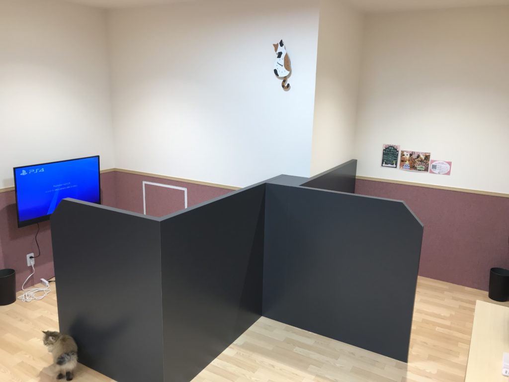 21年版 北海道でおすすめの猫カフェ11選 函館 帯広 小樽 旭川 猫カフェナビ