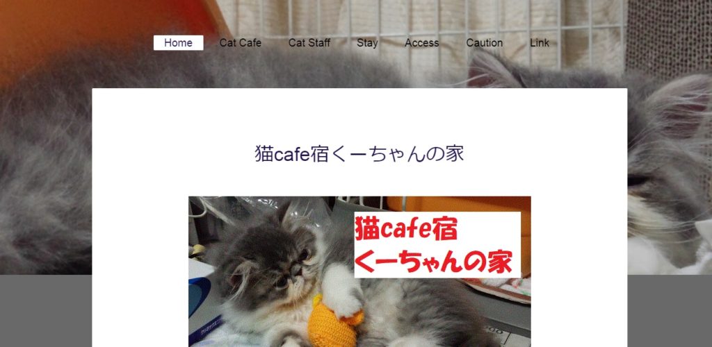 猫cafe宿くーちゃんの家