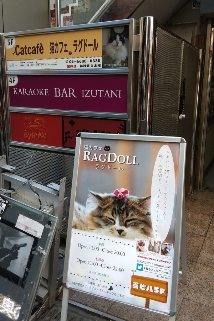 猫カフェ ラグドールの看板