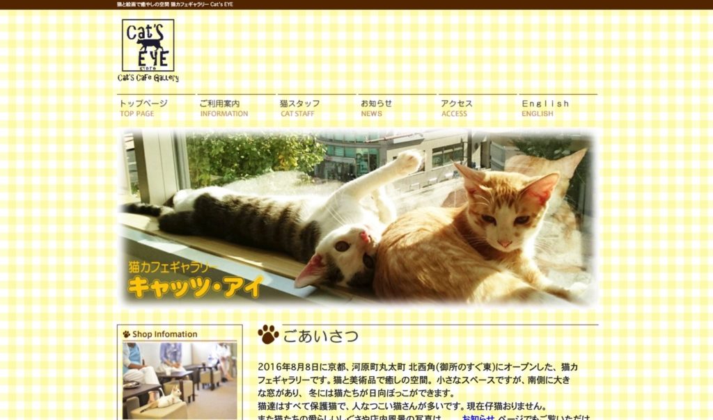 21年版 京都でおすすめの猫カフェ13選 看板猫に会えるカフェ2選 猫カフェナビ