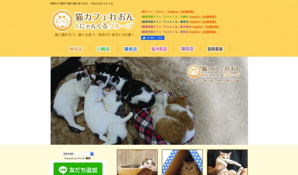 21年版 横浜でおすすめの猫カフェ16選 猫カフェナビ