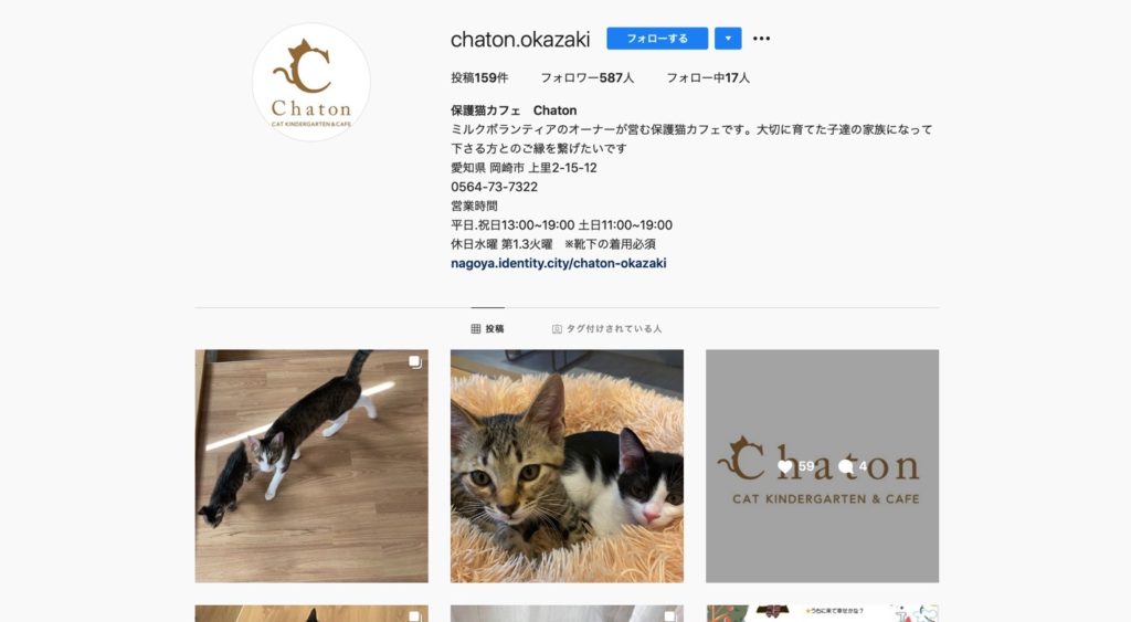 22年版 愛知でおすすめの猫カフェ15選 名古屋市外 猫カフェナビ