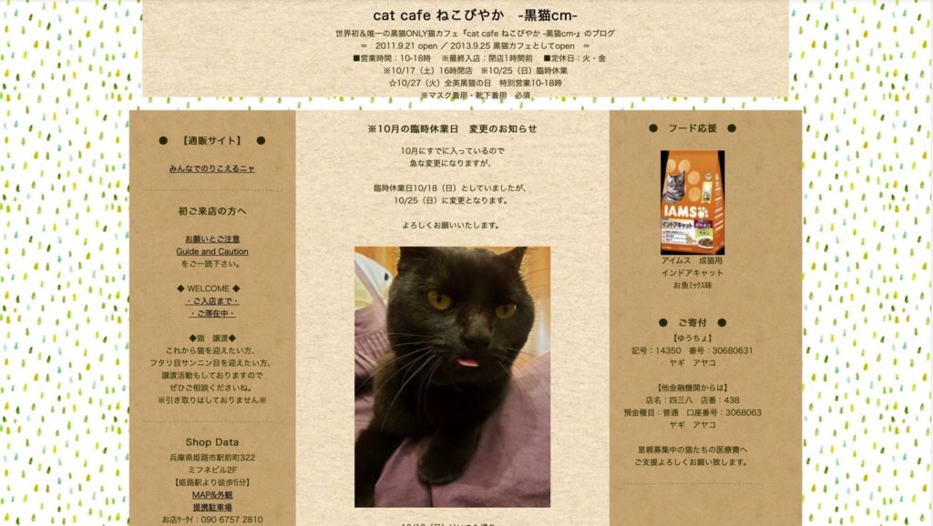 21年版 兵庫でおすすめの猫カフェ19選 猫カフェナビ