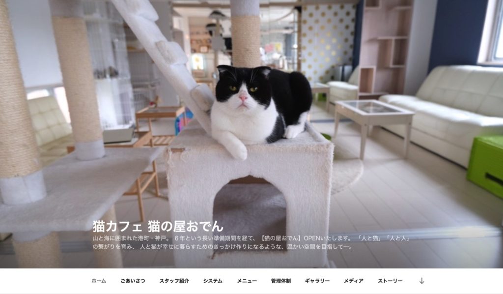 22年版 神戸でおすすめの猫カフェ10選 可愛い猫たくさん 猫カフェナビ