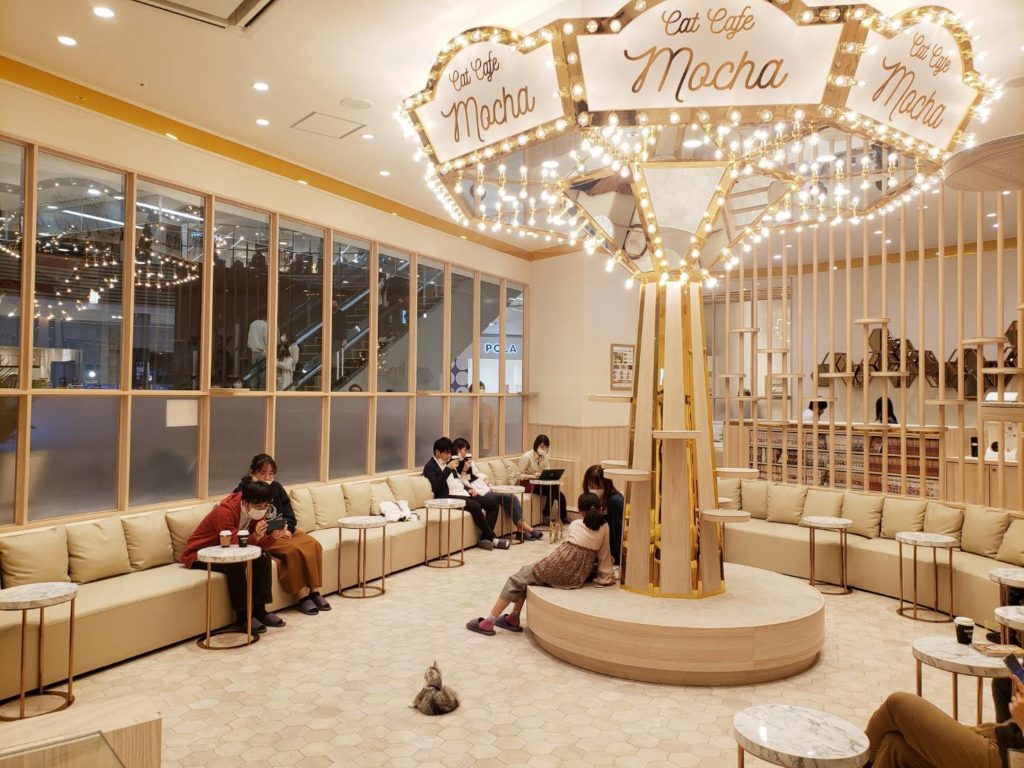 猫カフェMOCHA トレカ　幕張新都心 猫カフェMOCHA トレカ 幕張新都心 猫カフェMOCHA トレカ 幕張新