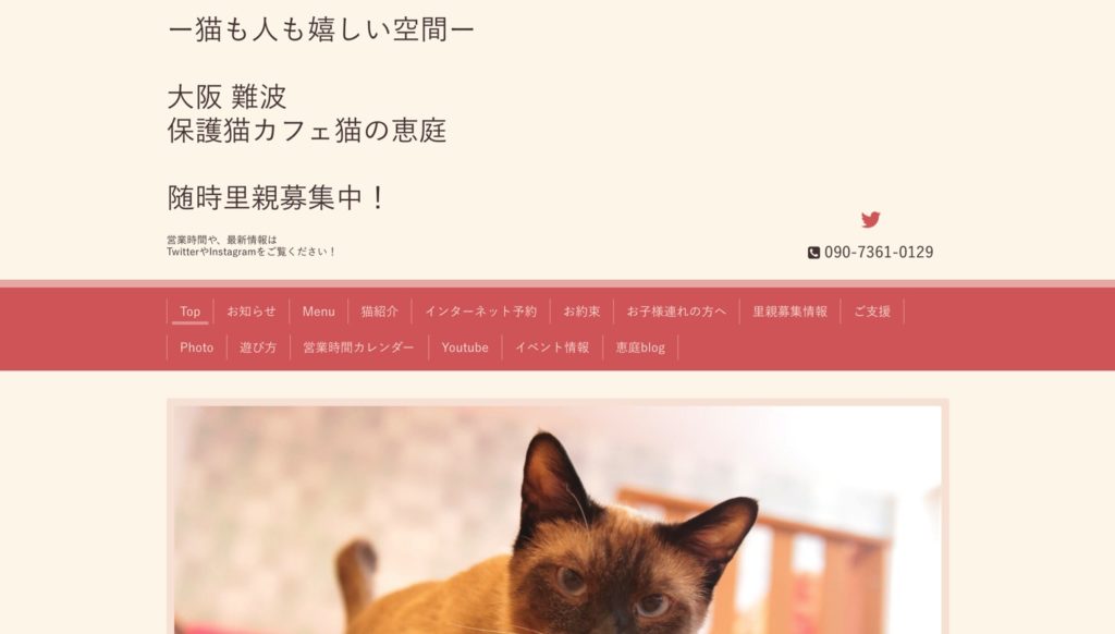 2021年版 難波 なんば でおすすめの猫カフェ4選 大阪猫カフェ 猫カフェナビ