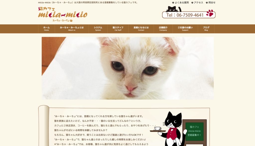 21年版 大阪でおすすめの猫カフェ10選 大阪猫カフェ 猫カフェナビ