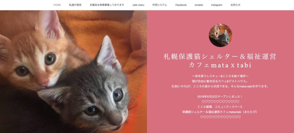 札幌保護猫シェルター＆福祉運営カフェmata x tabiのホームページ