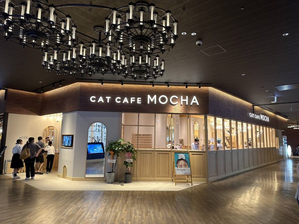 猫カフェモカ徳島