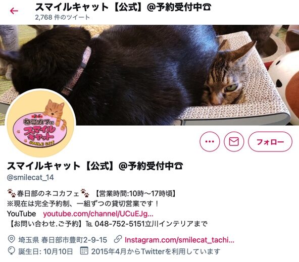 21年版 埼玉県でおすすめの猫カフェ23選 新店舗多数 猫カフェナビ