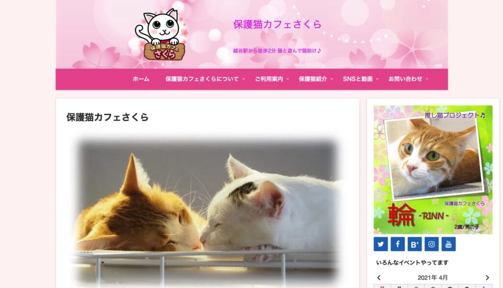 21年版 埼玉県でおすすめの猫カフェ23選 新店舗多数 猫カフェナビ