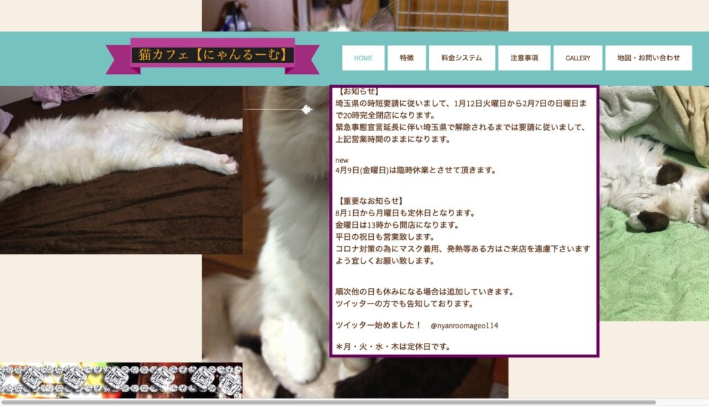 2021年版】埼玉県でおすすめの猫カフェ23選【新店舗多数！】  猫 